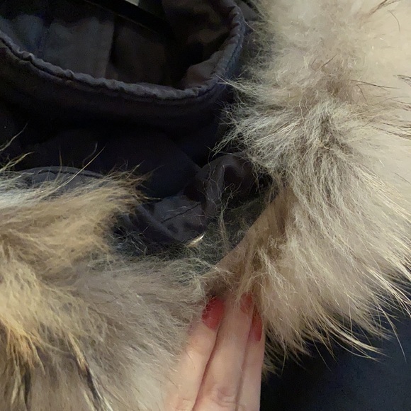 North Side Winter Coat - Picture 10 of 14